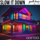 aariaa - Slow it Down