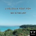 Liveloula Feat PZK - Overs the cloud (Original Mix)
