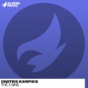 Dimitris Karipidis - The Fallen Sinner (Original Mix)