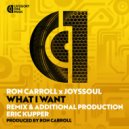 Ron Carroll x JoysSoul - What I Want (Eric Kupper Remix)