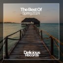 The Green Sause - Not Like You