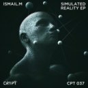 Ismail.M - Simulated Reality
