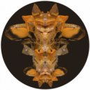 DLR - Novate