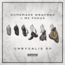 Homemade Weapons and MC Fokus featuring Cern - Lost Souls