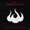 Quadrant, Iris and Codebreaker - Instinct (Original Mix)