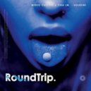 Nikko Culture, Tina Lm, RoundTrip.Music - Houdini (Original Mix)