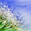 Lunar Sequence - Blossom (Original Mix)