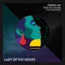 Cozmic Cat - Take Me Higher (Lazer Kitten Remix)