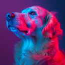 Pet Music & RawResonance & LO-FICTION - Serene Sniffs in Calm Rhythms