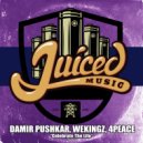 Damir Pushkar, Wekingz & 4Peace - Celebrate The Life