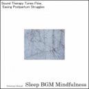 Sleep BGM Mindfulness - Heal with the Power of Nature\'s Sound (Original Mix)