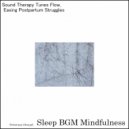 Sleep BGM Mindfulness - Journey to Slumber with the Sweet Melodies of Brain Tune
