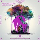 Arsham Salahi - Nice Falling