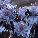 Mind Against, CAY (DE) - FLORAL (Original Mix)