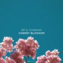 DP-6, rcnetlark - Cherry Blossom (Original Mix)