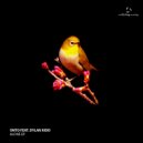 Onto - Storm in The Wind (Original Mix)