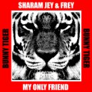 Sharam Jey, Frey - My Only Friend