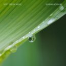 Soft Dream Music - Velvet Clouds (Radio Edit)