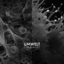 Cam Lasky - Designs: Conspiracy and Trickery (Original Mix)