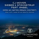 Cj Mover, Sieber & Stavnstrup feat. Angel - Open My Gates
