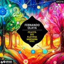 Fernando Olaya - XYZ
