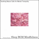 Sleep BGM Mindfulness - Finding Solace with Lullabies of Mental Balance (Original Mix)