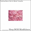 Sleep BGM Mindfulness - Embracing the Night with the Echoes of Cognitive Symphony for Rest