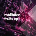 Stanny Abram - Molibden Fruits (Dub Mix)