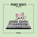 Peaky Beats & Breakfake - Life In Stereo (Original Mix)