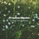 Precious Master - Don't Let Love Tear Apart