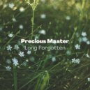 Precious Master - Insane Robots