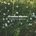 Precious Master - Insane Robots