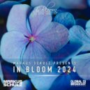 Markus Schulz - In Bloom 2024