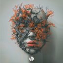 Seismal D, Amiley - Ricordia