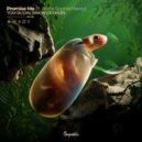 Tom Budin & Simon Dekkers Ft. Anna-Sophia Henry - Promise Me