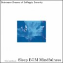 Sleep BGM Mindfulness - Peace Nurtured with Lullabies Crafted for Sleep Enchantment