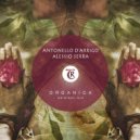 Antonello D\'Arrigo, Alessio Serra, Tibetania - Organica (Original Mix)