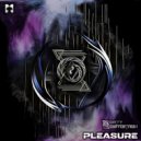 Dirty Distortion - Pleasure