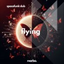 Spacefunk Dub - Flying