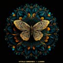 Vitalii Gridnev - Lumin