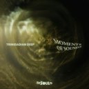Trinidadian Deep - Moments Of Sounds (Drums Tool)
