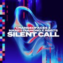 ChangedFaces, Harry Diamond, RBBTS - Silent Call