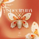 Karry G - Spectrum (Original Mix)