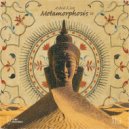 Ashed Lion - Metamorphosis