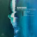 Raybee - Vision (Original Mix)
