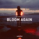 Nu Aspect - Bloom Again