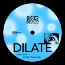 Audio Bullys & Smokey Bubblin' B - Dilate
