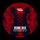 Roni Rix - Sad Alcoholic (Original Mix)