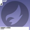 Timsek & NEBA - Angel (Radio Edit)