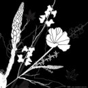 nsi. - David Hassell (Original Mix)